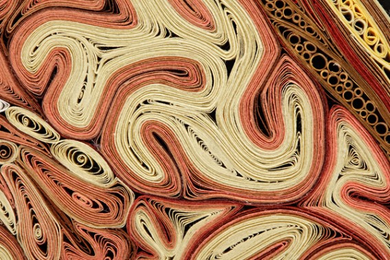 anatomy-05